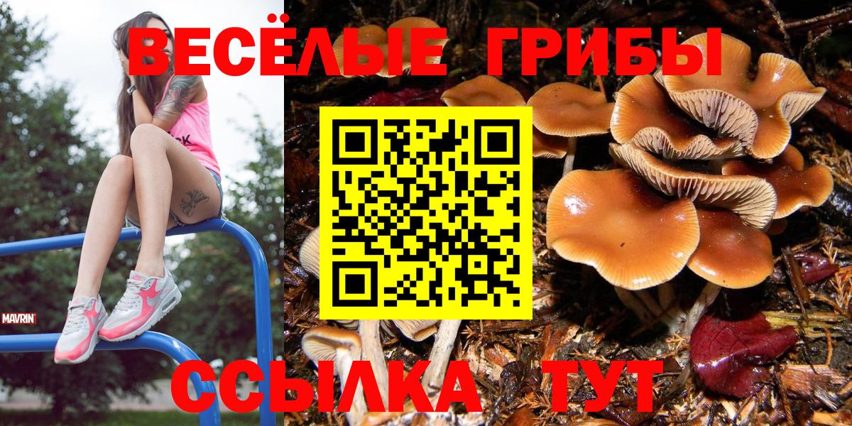 Хабаровск  Псилоцибиновые грибы прущие грибы  Вход с VPN 